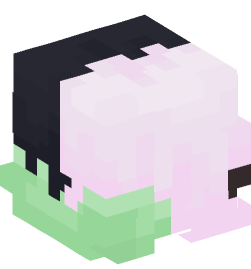 Minecraft head — People