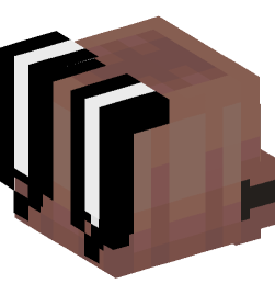 Minecraft head — People