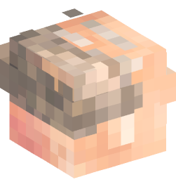 Minecraft head — People