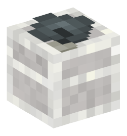 Minecraft head — Decor