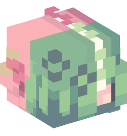 Minecraft head — People