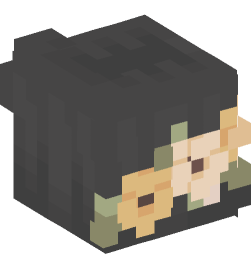 Minecraft head — People