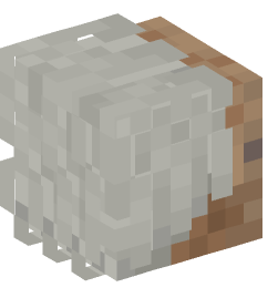 Minecraft head — People