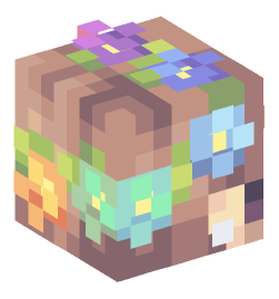 Minecraft head — People