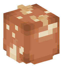 Minecraft head — Decor