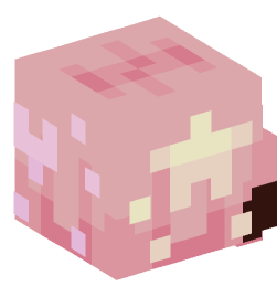 Minecraft head — People