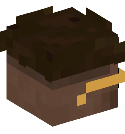 Minecraft head — People