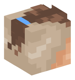 Minecraft head — People