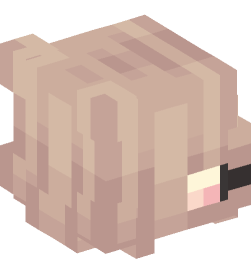 Minecraft head — People