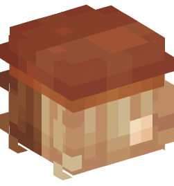 Minecraft head — People