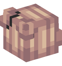 Minecraft head — People