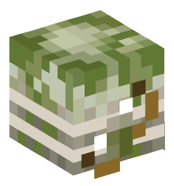 Minecraft head — Decor