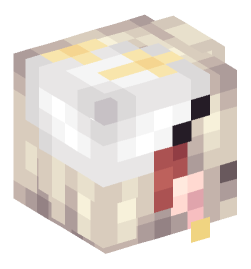 Minecraft head — People