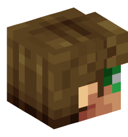 Minecraft head — People