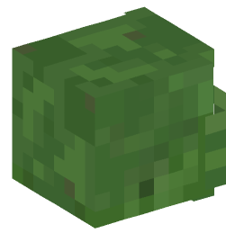 Minecraft head — Creatures