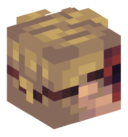 Minecraft head — People