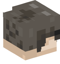 Minecraft head — People