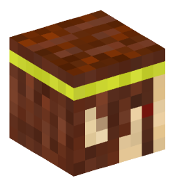 Minecraft head — Creatures