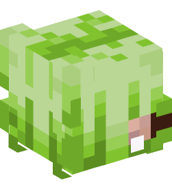 Minecraft head — People