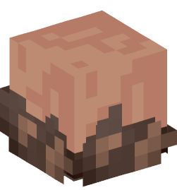 Minecraft head — Decor