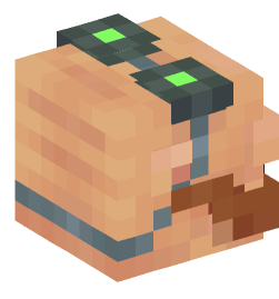 Minecraft head — People