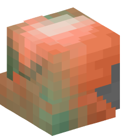 Minecraft head — Creatures