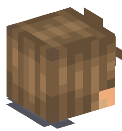 Minecraft head — People