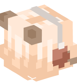 Minecraft head — People