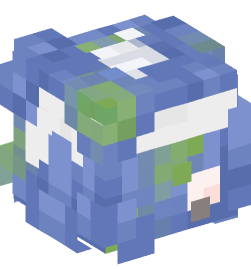 Minecraft head — People