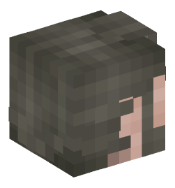 Minecraft head — People