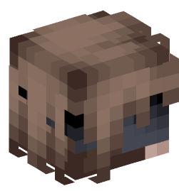 Minecraft head — People