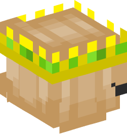 Minecraft head — People