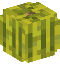 Minecraft head — Plants