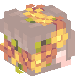 Minecraft head — People