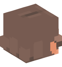 Minecraft head — People