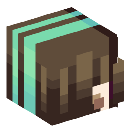 Minecraft head — People