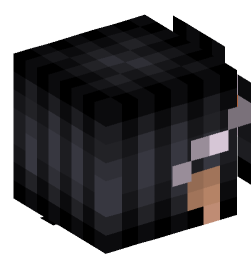 Minecraft head — People