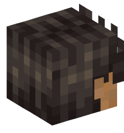 Minecraft head — People