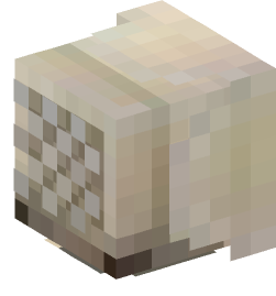 Minecraft head — Decor