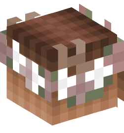 Minecraft head — People