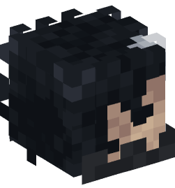 Minecraft head — People