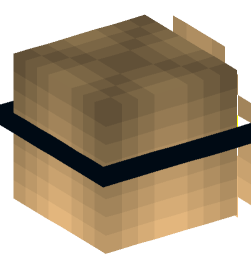 Minecraft head — People