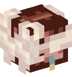 Minecraft head — People