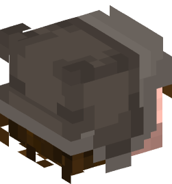 Minecraft head — People