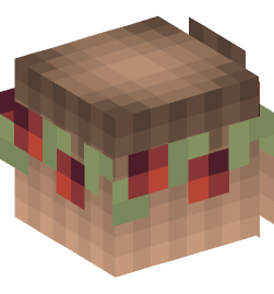 Minecraft head — People