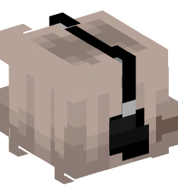 Minecraft head — People