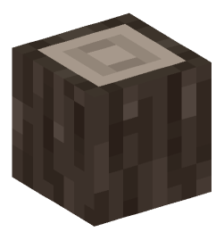 Minecraft head — Blocks