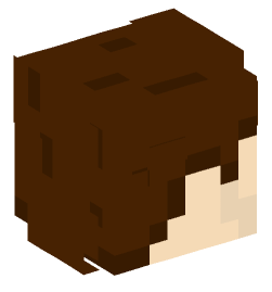 Minecraft head — People