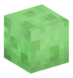 Minecraft head — Blocks