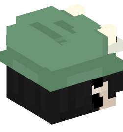 Minecraft head — People